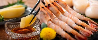 �ڤ�������̳�ƻ�����󡡳������å�B��5�ʡˢ�12���ܡ�ȯ����