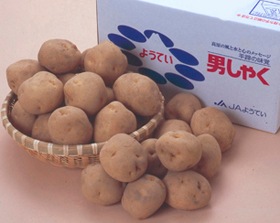 ���ߵ������JA�褦�Ƥ����ˤ��㤯��L��������5�ԡ���12����ܡ�ȯ�����ϡ�