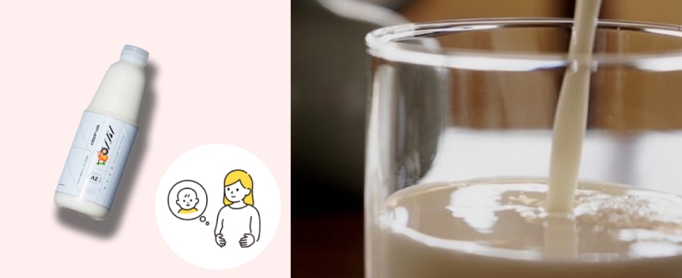 若里ジャージーミルク工房ARVO ARVOジャージーA2ミルクセット