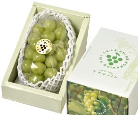 JA롡㥤ޥåȡ֥顦顦㥤