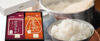 �ڤ����������7ǯ�� �̳�ƻ�ƥץ�ߥ��८�եȡ�SY�����ơˢ�12���ܡ�ȯ����