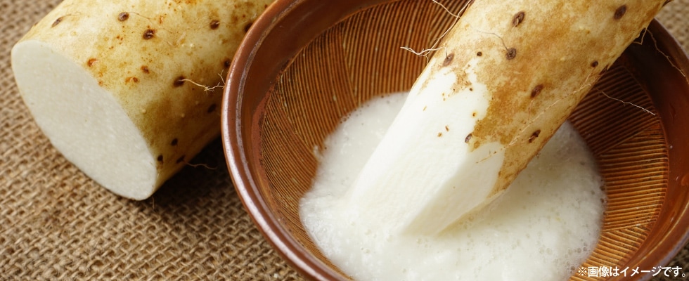 JAȤդĹ⡡5kg2LLˡ11ܡȯϡ