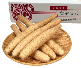 JA���Ȥդ���Ĺ���⡡��5kg��2L��L�������ˡ���1��14�����缡ȯ����