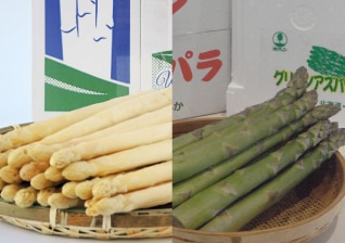 JA�̤Ϥ뤫�������ѥ饻�åȡʥϥ������ݡ���1kg�ʥ��꡼����500g���ۥ磻����500g)��4��ܡ�ȯ�����ϡ�