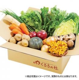 �ڥۥ����SS�����������WEB������ŵ�ۤ������Ρ����ޤ�����ڥ��å�(15����)