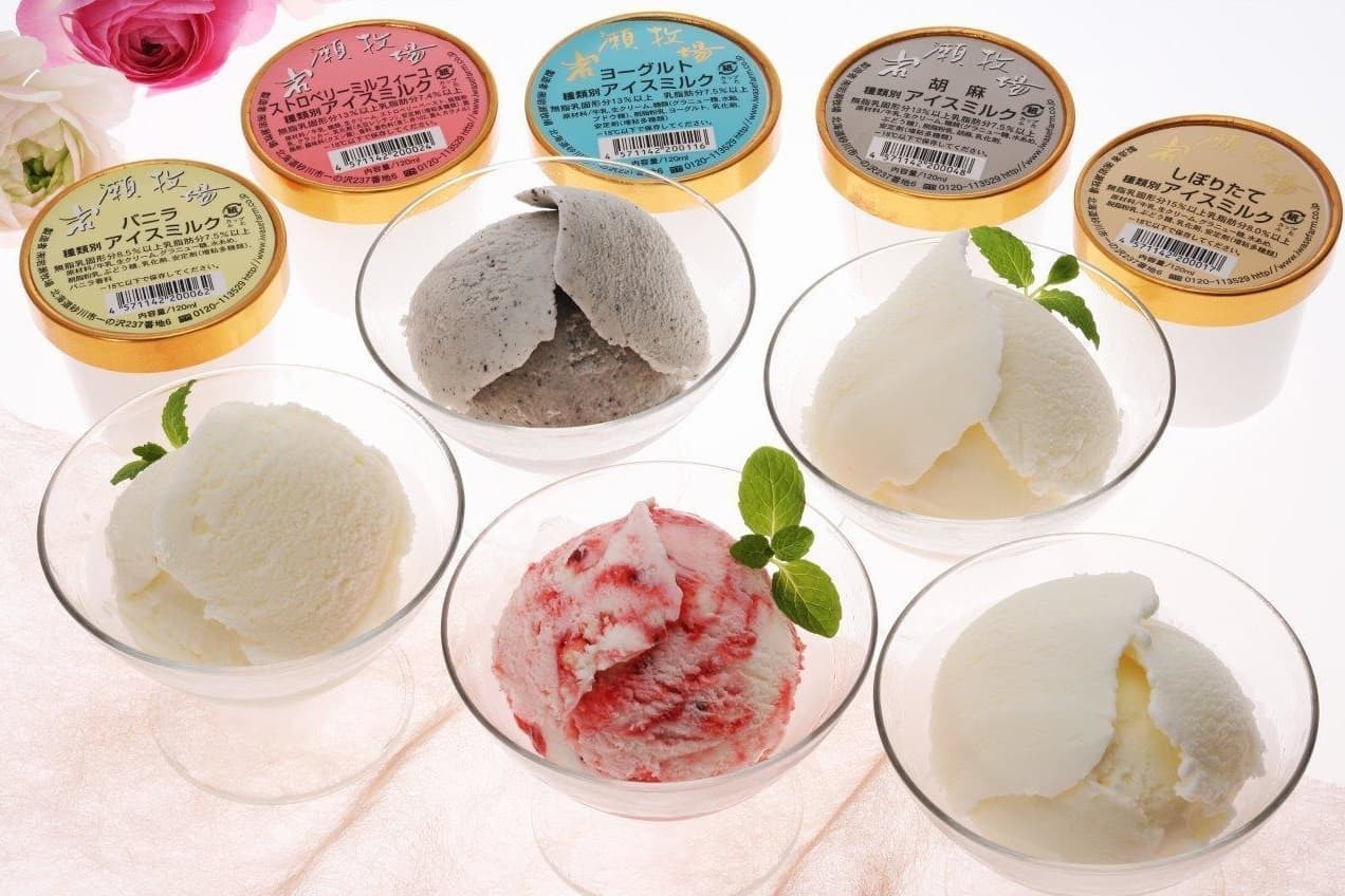 岩瀬牧場 カップアイス10個セット | HOKUREN GREEN +PLUS | ホクレン