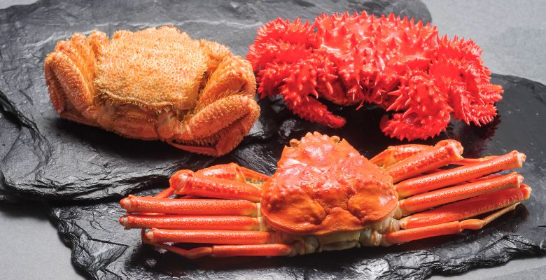 �̳�ƻ��������Τ��ˤο��٤����