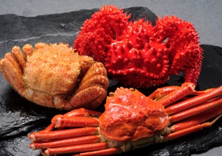 �̳�ƻ��������Τ��ˤο��٤����