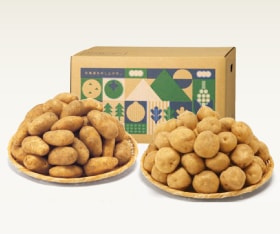 ̳ƻ㤬2糧åȡ10ܡȯϡ