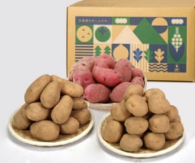 ̳ƻ뤷祻åȡ10ܡȯϡ