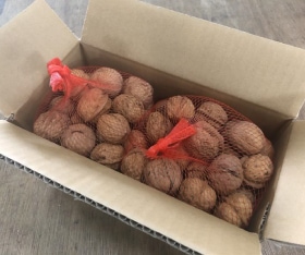 ����������ߡ���1kg����500g��2��