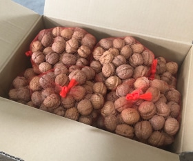 ����������ߡ���5kg����500g��10��