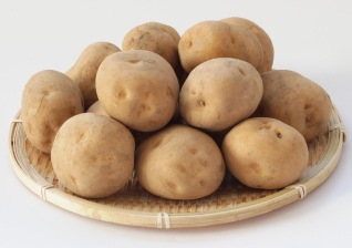 JAȤСYES!cleanˤ㤯L10kg10ܡȯ