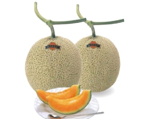 JA���Į���̤ν����ץ����ͥ����1.6kg��2�̡�7���ܡ�ȯ�����ϡ�