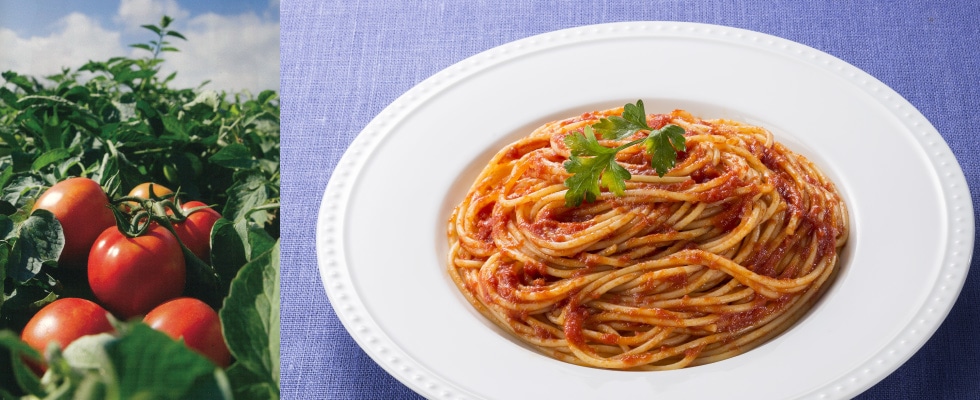 �ѥ������������ȥޥ�&������å� 220g��6��