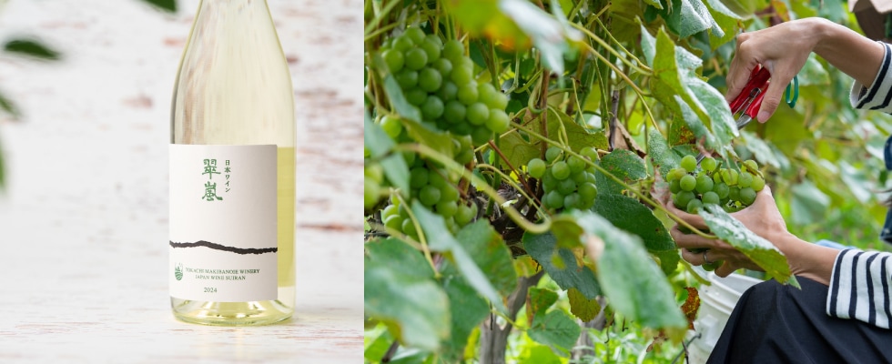 �����ޤ��Фβȥ磻�ʥ꡼������ʤ�������2025����磻���750ml��1��