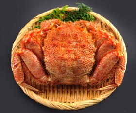 �̳�ƻ����������ܥ����Ӥ���800g��1����