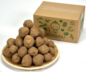JAƻ�����˼ߡ�L��������10kg��10���ܡ�ȯ�����ϡ�