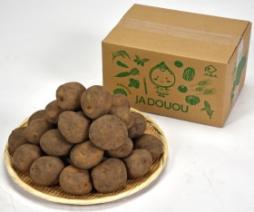 JAƻ�������������ꡡL��������10kg��10���ܡ�ȯ�����ϡ�