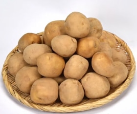 JAƻ�����������त��L��������5kg��10���ܡ�ȯ�����ϡ�