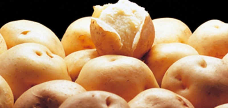 JAƻ�����������त��L��������10kg��10���ܡ�ȯ�����ϡ�