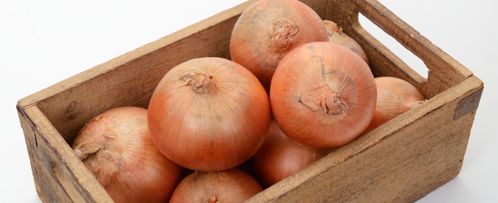 MEGA���������̳�ƻ���̤ͤ� 2L�ʾ���10kg��10����ܡ�ȯ�����ϡ�