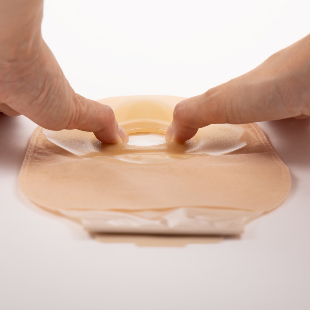 ノバ1 フォールドアップ X5 | Hollisterサンプル請求サイト