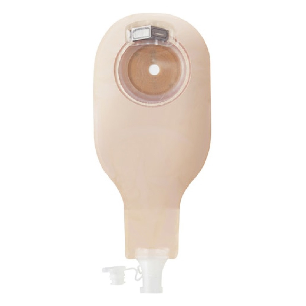 キャップのやわぴたFT | Hollisterサンプル請求サイト