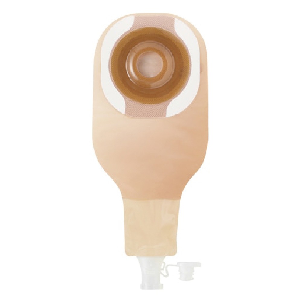 キャップのやわぴたFT | Hollisterサンプル請求サイト