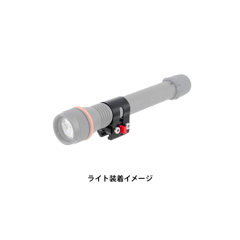 �����å��ۥ����LE