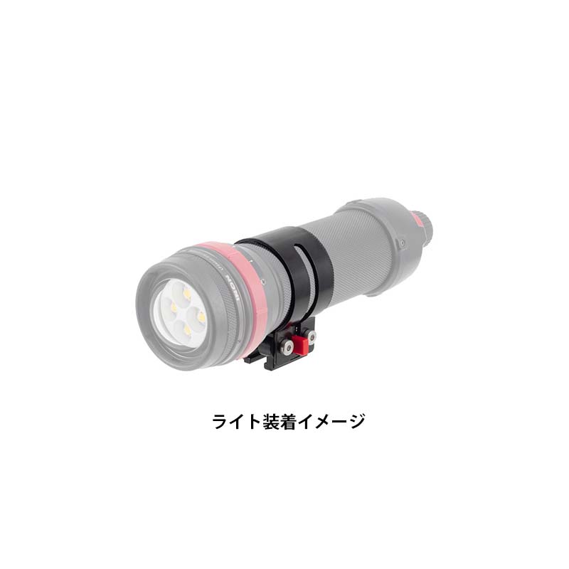 �����å��ۥ����LF