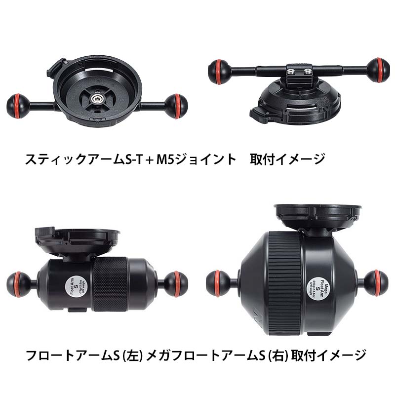 XD��󥺥ۥ����M5