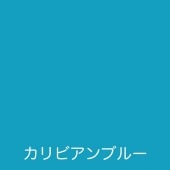 ȥϥڥ ե꡼ ӥ֥롼 1.6L 00001-23325