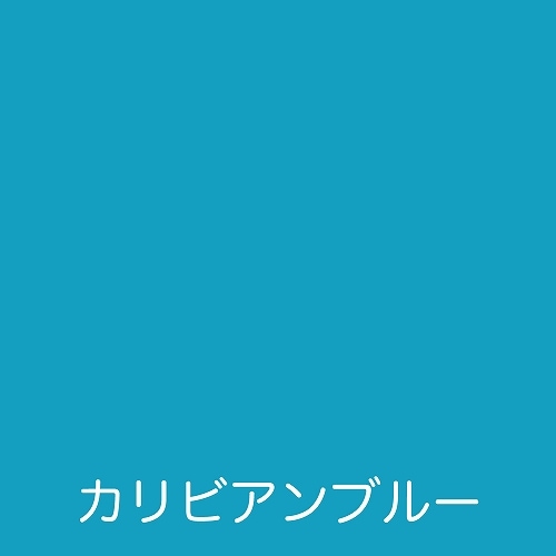 カラートリマ スカイブルー 持たそ