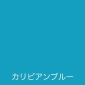 ȥϥڥ ե꡼ ӥ֥롼 0.7L 00001-23225