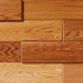 ŷζں ŷ̵ɺ Хԡ åɥ BUPRC-309P 