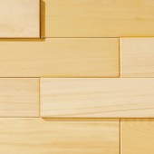 ŷζں ŷ̵ɺ Хԡ  BUPYC-309P 