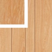 ŷζں ץ  ʿ 36 (16) SR61-36