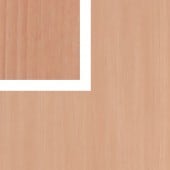 ŷζں ץ STᥤץ ʿ 36 (16) SR62-36