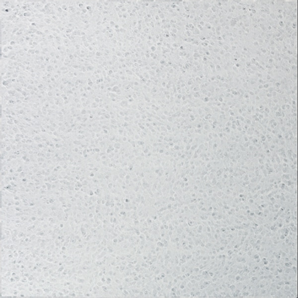 �ե��� ��ǳ�ꤹ���»沽���� ��ɢ(�����夦) SPOT KS18SP 3.2��930��1850mm��1�������