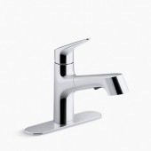 佪λ250509KOHLER(顼) Vinӥ åѿ ݥåɥ R29679-CP