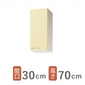 ʥå ʥ륭å ڥӥå  ߥɥ߸ê ָ30