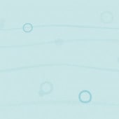 佪λ250428ۥե ɥ ٥꡼3.5900mm15m ߥȥ֥롼 BWBU 11