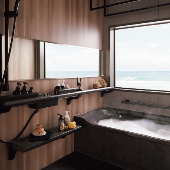 �ڸ��Ѿ��ʡ� ����ʥå� �����ƥ�Х��롼�� SELEVIA(���������)