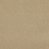 �����륫���ڥå� �ۡ��ॿ����300 ���֥��HT313�ˡ�12������