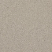 �����륫���ڥå� �ۡ��ॿ����300 ���졼�����HT315�ˡ�12������