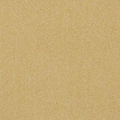 �����륫���ڥå� �ۡ��ॿ����300 �ߥ⥶��HT319�ˡ�12������