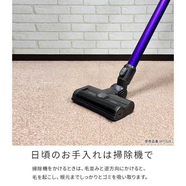�����륫���ڥå� �ۡ��ॿ����100 ���եۥ磻�ȡ�HT101�� ��8������