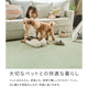 �����륫���ڥå� �ۡ��ॿ����100 ���եۥ磻�ȡ�HT101�� ��8������