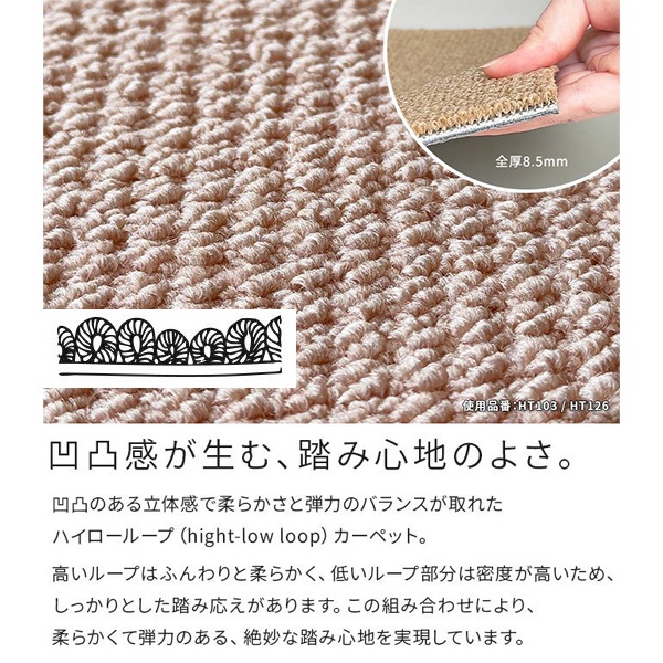 �����륫���ڥå� �ۡ��ॿ����100 ���꡼�।��������HT127�ˡ�12������